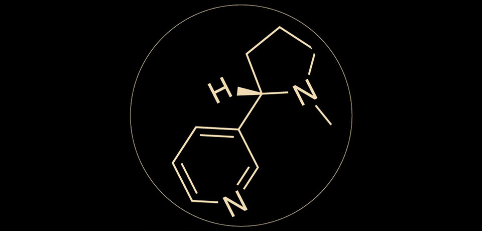 relx悦刻一代-悦刻经典款产品介绍