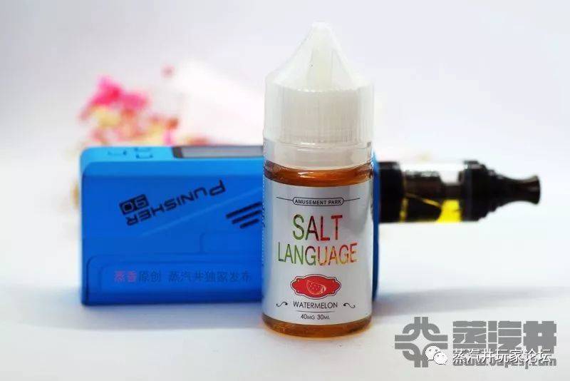 SALT LANGUAGE盐语烟油口味使用评测