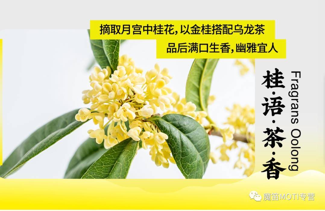 茶控注意啦！魔笛MOTI新口味来袭。秋季品茶的季节