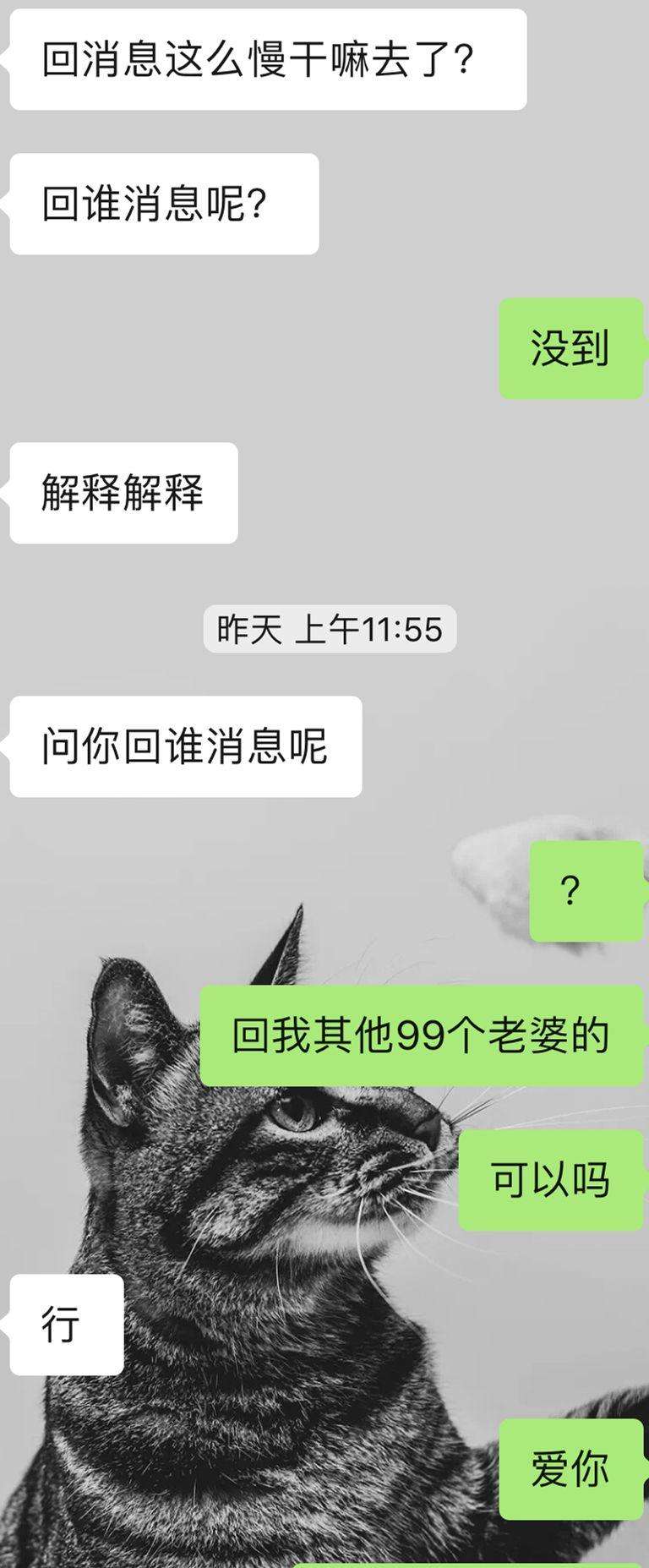 女神不喜欢舔狗，我不当舔狗她却把我拉黑了-恋爱啊|追女生聊天技巧|哄女生话术|如何表白|微信搭讪|